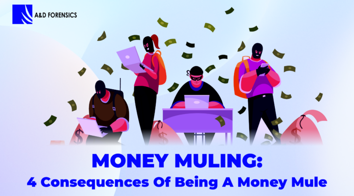 Money Muling: 4 Consequences of Being a Money Mule by A&D Forensics